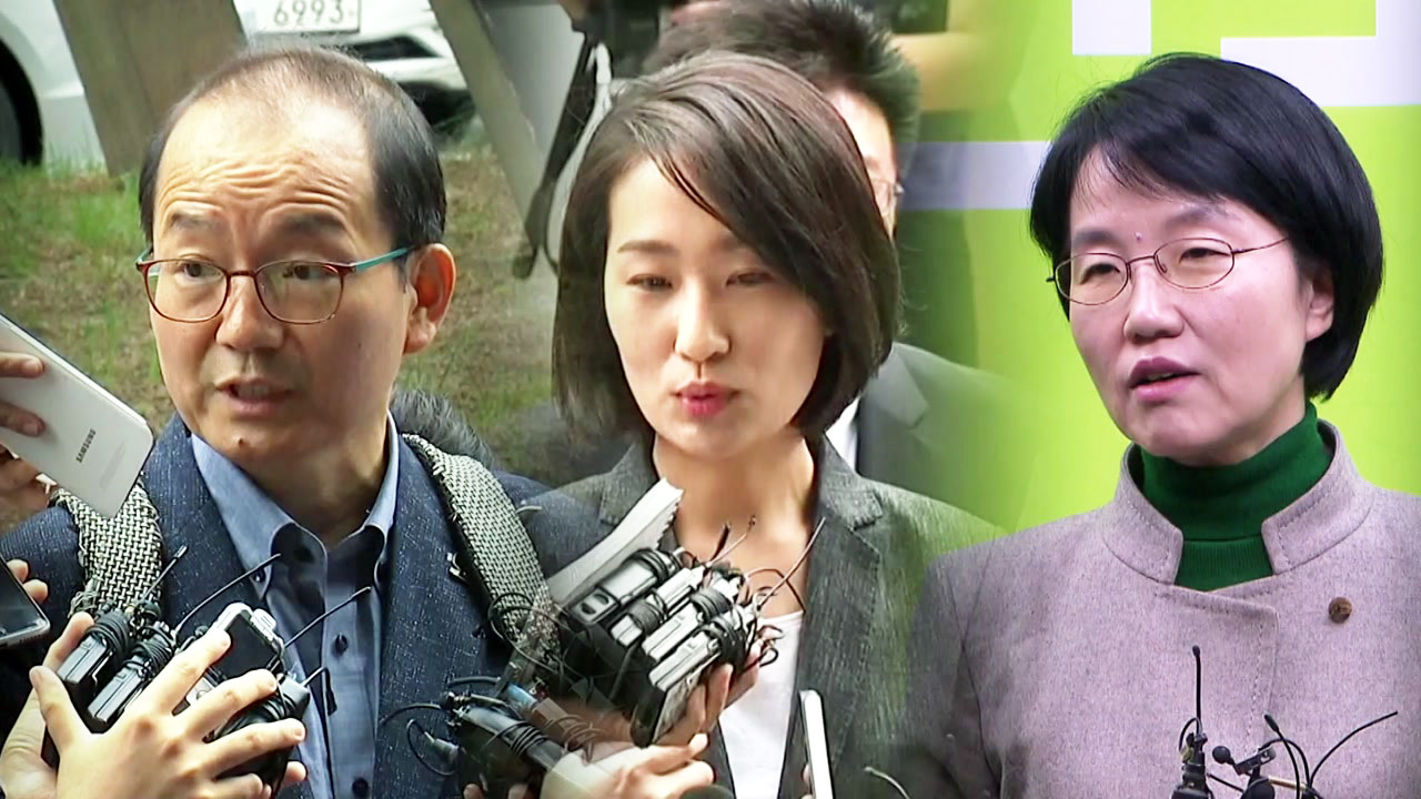 박선숙·김수민 의원 오늘 구속 여부 결정