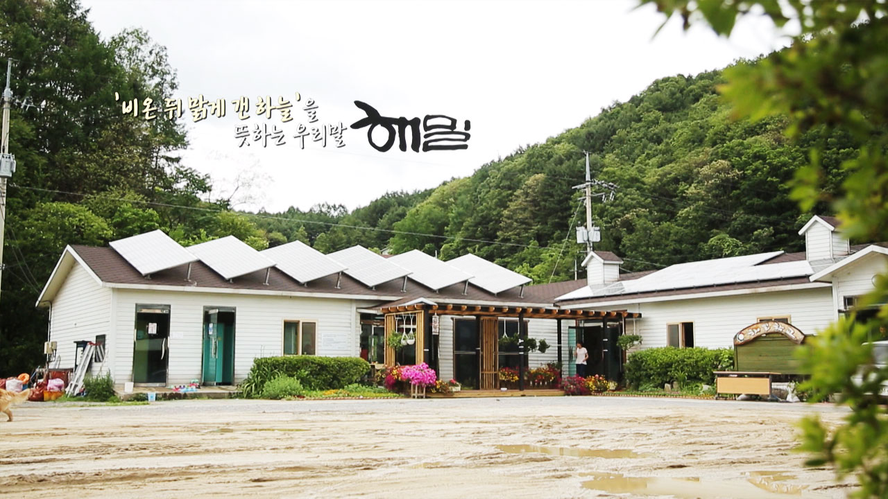 [전국]거위의 꿈...대안학교 해밀의 두 번째 도전 | YTN 거위의 꿈...대안학교 해밀의 두 번째 도전