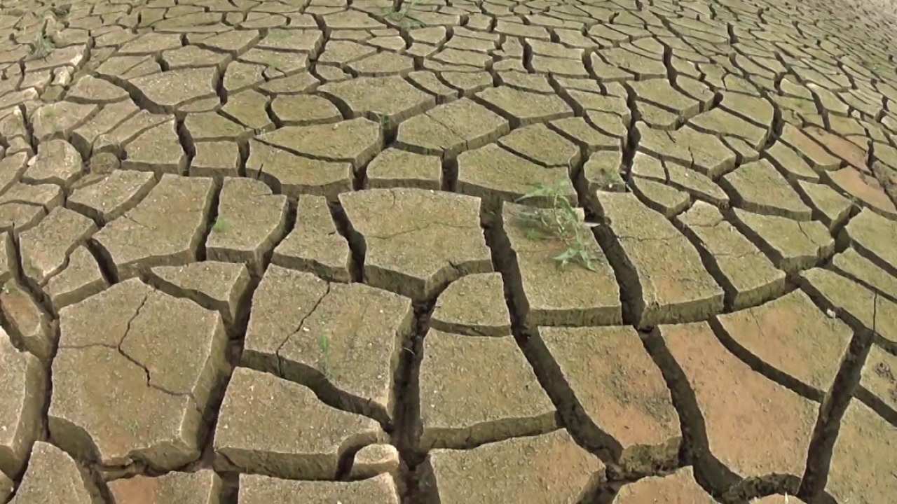 전국 곳곳 가뭄 비상...정부 천억 원 긴급 지원