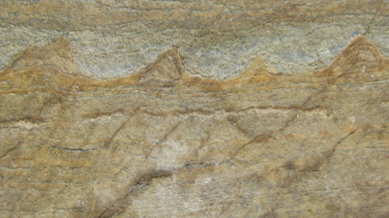 지구에서 가장 오래된 37억 년 전 화석 발견