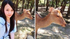 사슴과 찍은 셀카가 심상치 않은 이유
