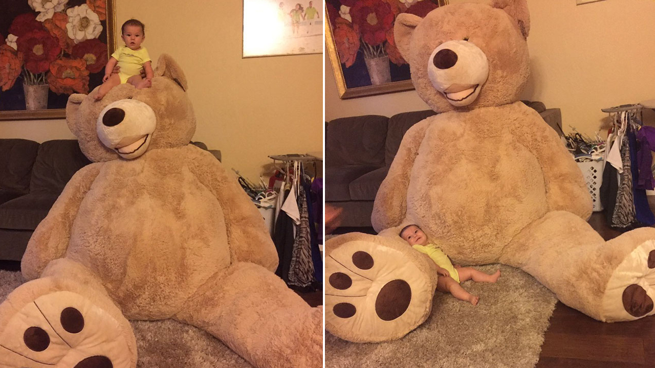 인터넷 스타 등극한 '곰인형에 파묻힌 아기' 
