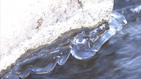 [날씨] 강원도 철원 올가을 첫얼음...지난해보다 15일 빨라