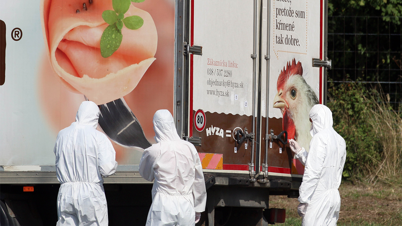 '냉동트럭에서 발견된 71구의 시신' 조사 마무리