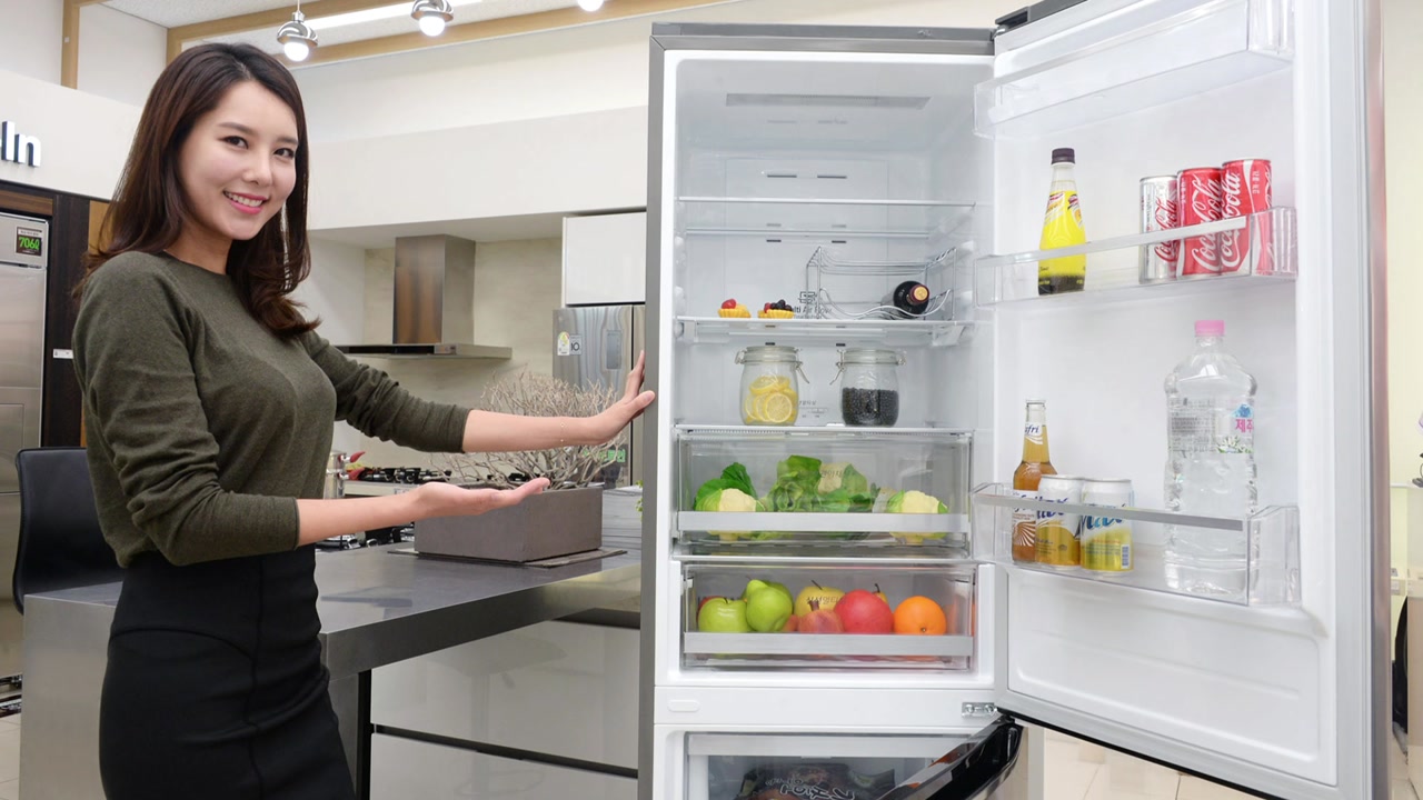LG, 1~2인 가구 맞춤형 유럽 스타일 냉장고 출시