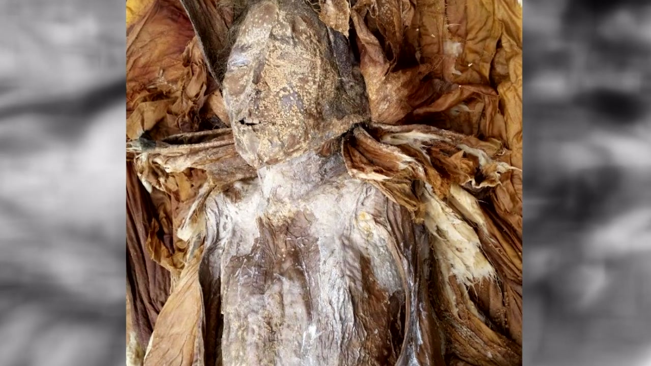 전남 곡성에서 379년 된 여성미라 발견