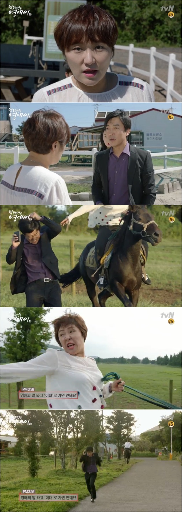 "말타고 '이대'로?" '막영애15', 정유라 논란 디스 자막
