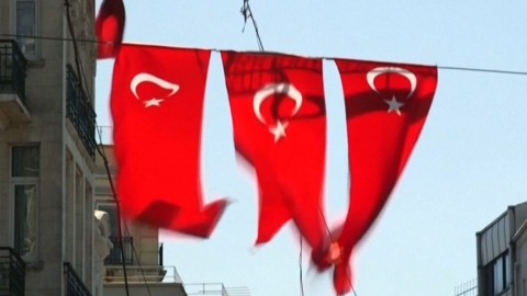 "성폭행 피해 아동과 결혼하면 무죄"...터키 법안 논란