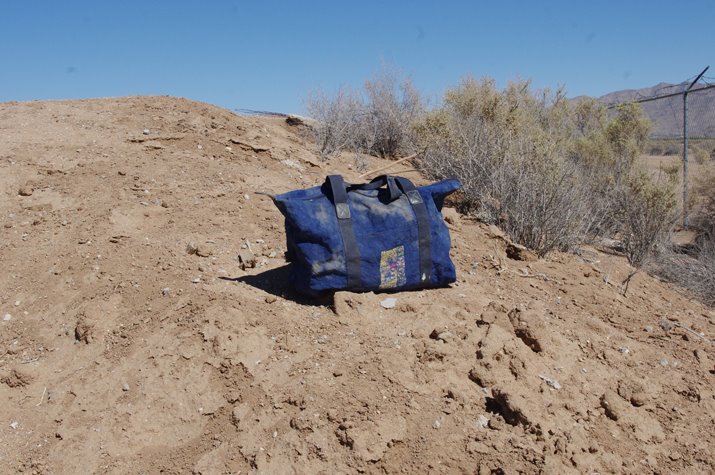 사막에 버려진 가방 속에서 '살아있는 개' 발견돼 