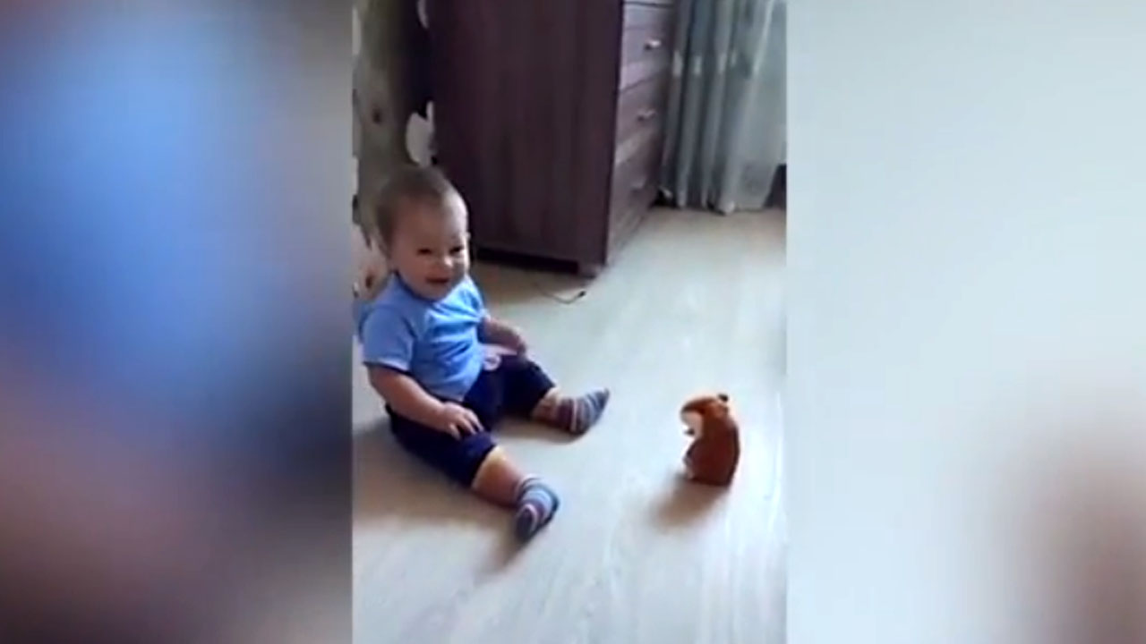 움직이는 햄스터 장난감에 놀란 아이의 귀여운 반응 