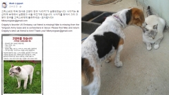 '미국 대사가 찾는 고양이' 행방이 드러나다