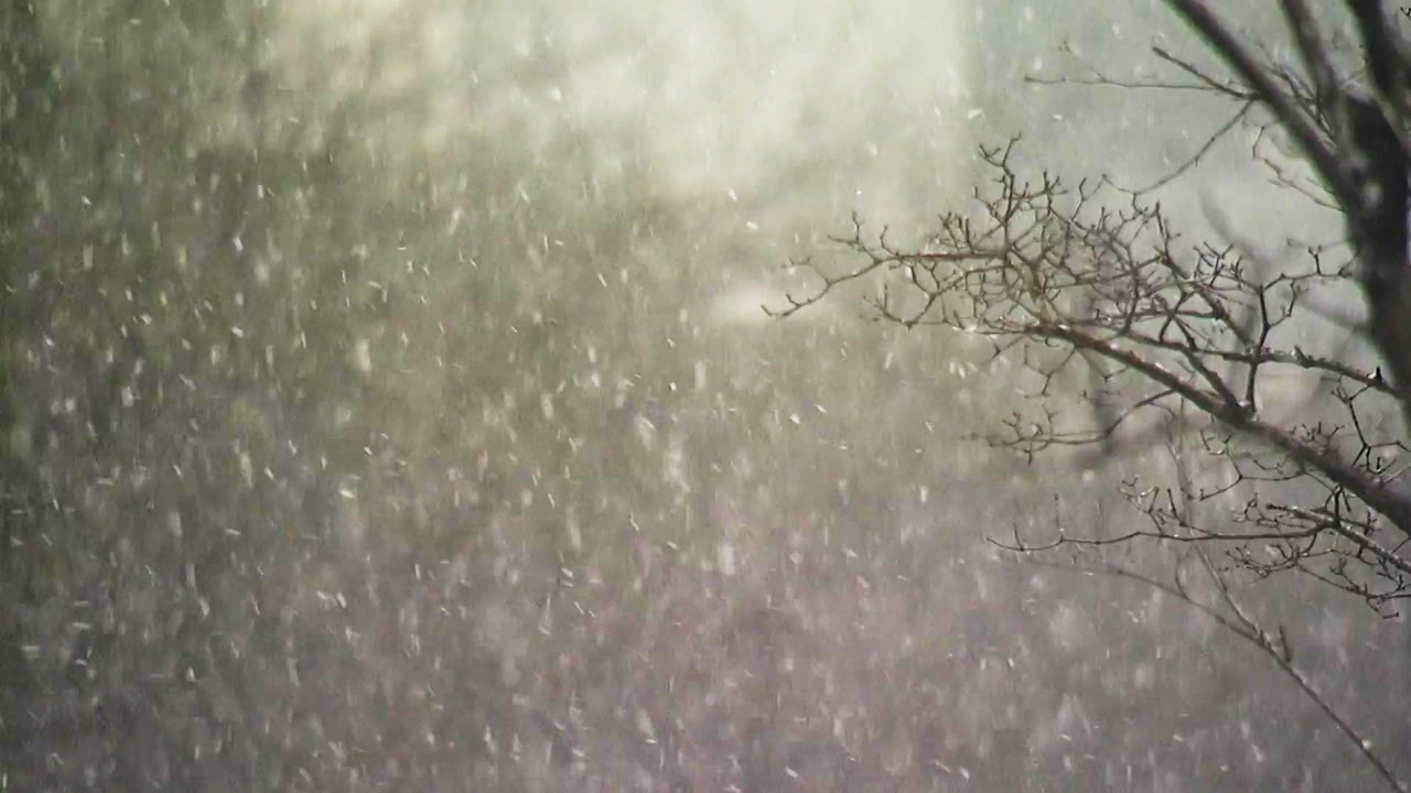 [날씨] 절기 대설, 전국 곳곳 눈·비...오후부터 갬