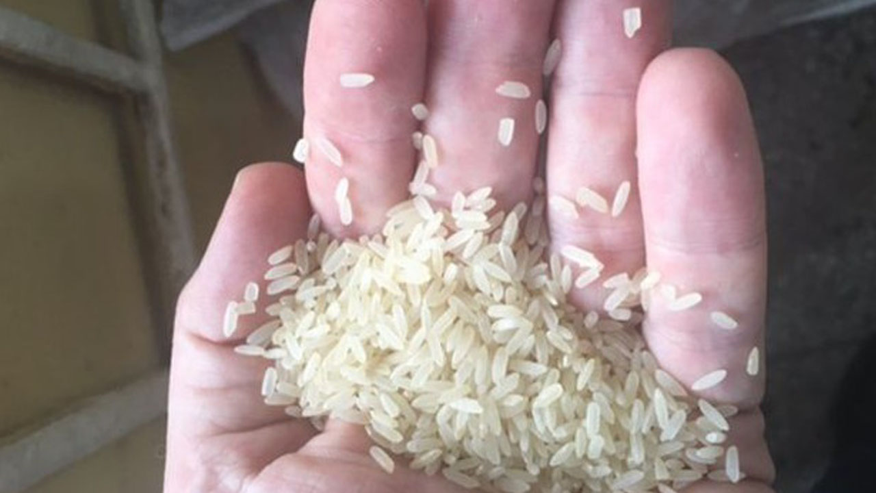 "먹으면 큰일나" 중국산 플라스틱 쌀 수출돼 파문