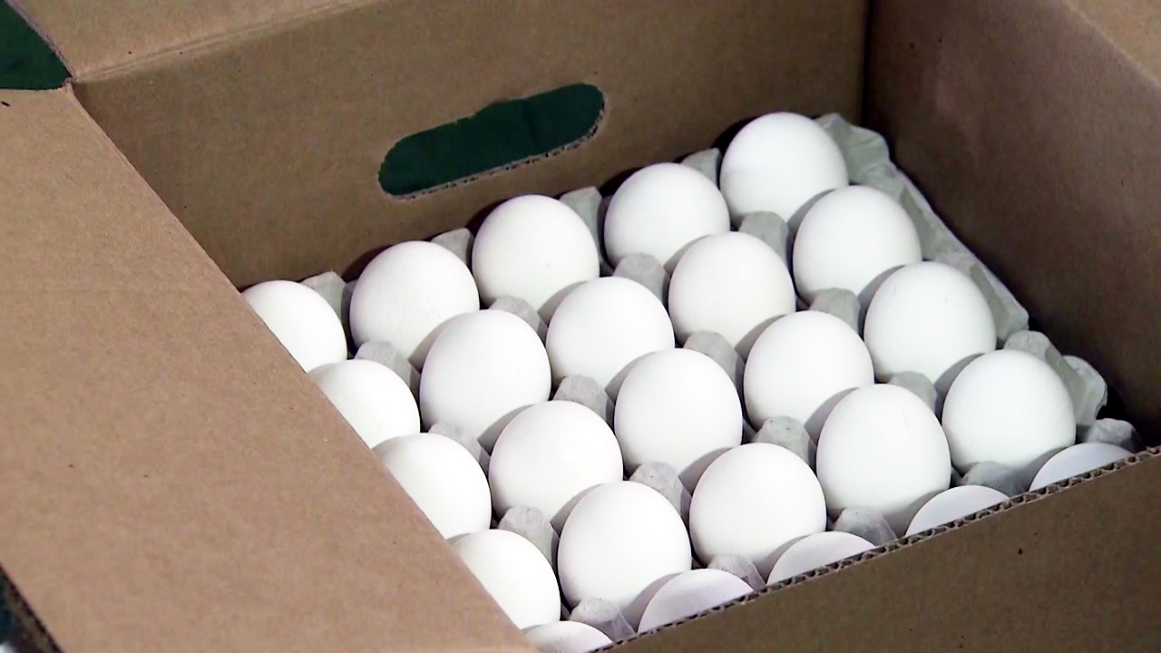 [YTN 실시간뉴스] 미국산 달걀 첫 도착...다음 주 판매