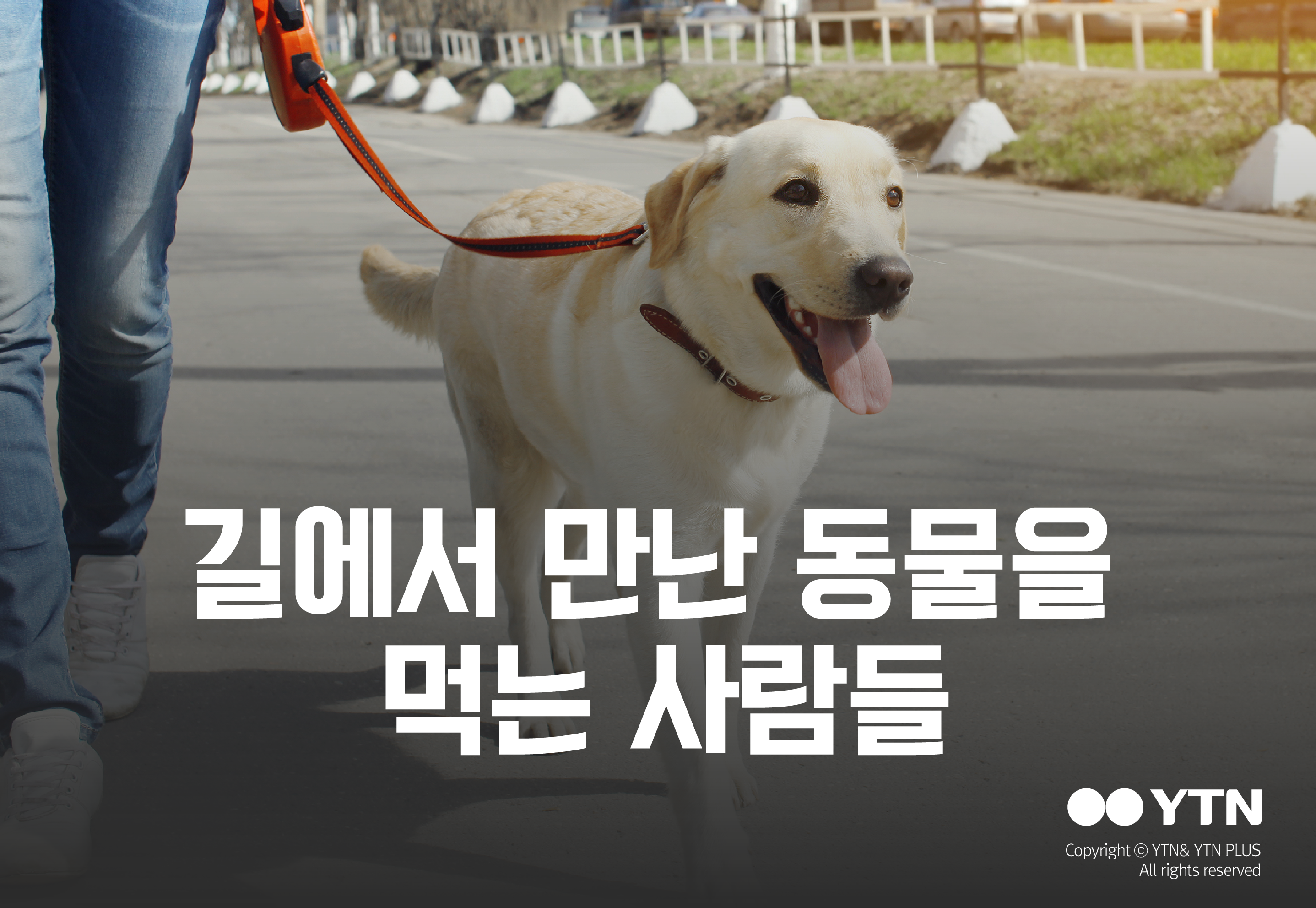 [한컷뉴스] 길에서 만난 동물을 잡아먹는 사람들