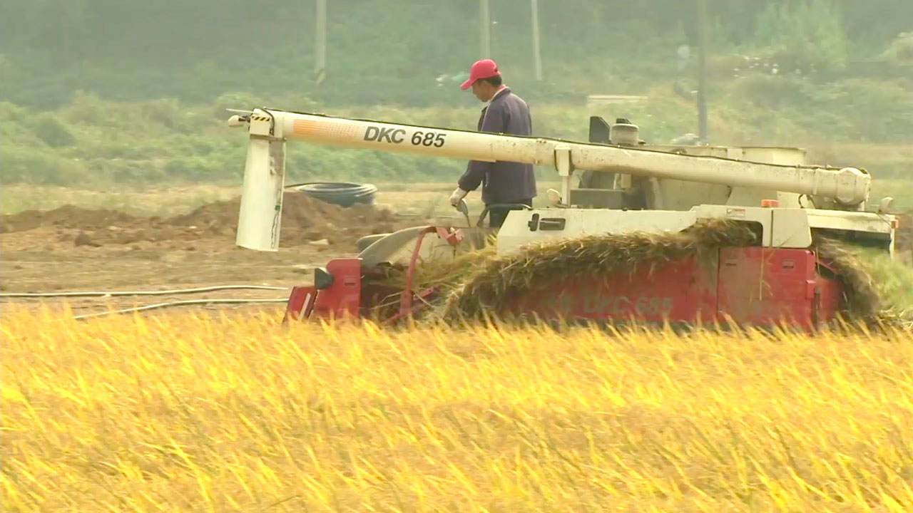 쌀 보조금 WTO 한도 넘어...정부-농가 갈등 우려
