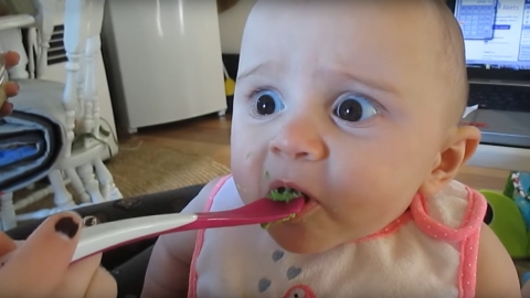아보카도 처음 먹는 아기의 놀라운 반응