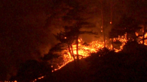 강릉 옥계 산불 이틀째...헬기 17대 진화 재개