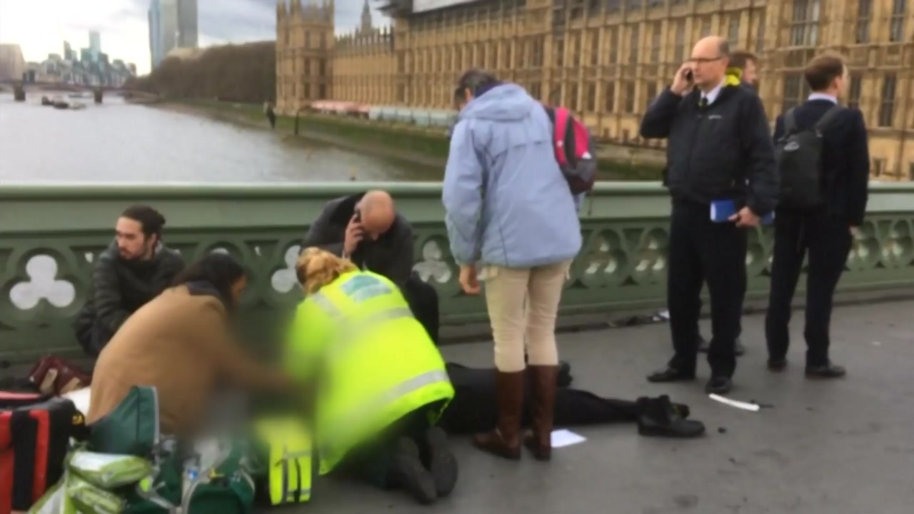 英 의사당 경찰관 흉기 피습..."테러로 규정"