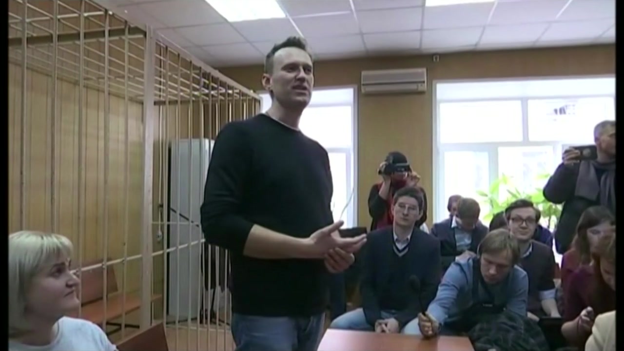 러시아 반정부 시위 지도자 나발니 구류형
