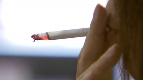WHO, 중국에 흡연 실태 경고 "21세기에 2억 명 사망 우려"
