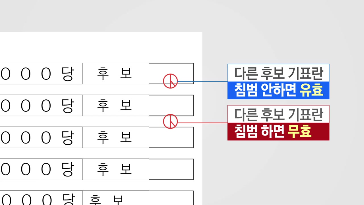 "투표용지 기표란 너무 좁아"...여백에 찍혀도 유효