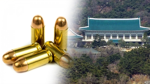 청와대 주변서 권총 실탄 갖고 있던 20대 검거