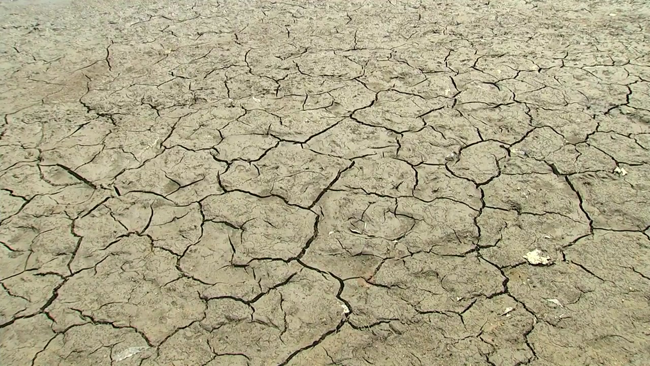 극심한 가뭄에 저수지마다 물 부족