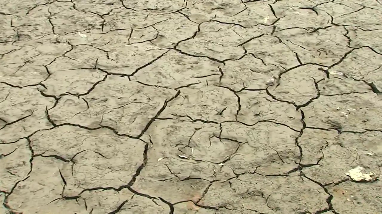 최악의 봄 가뭄...저수지 바닥도 '쩍쩍' 갈라졌다