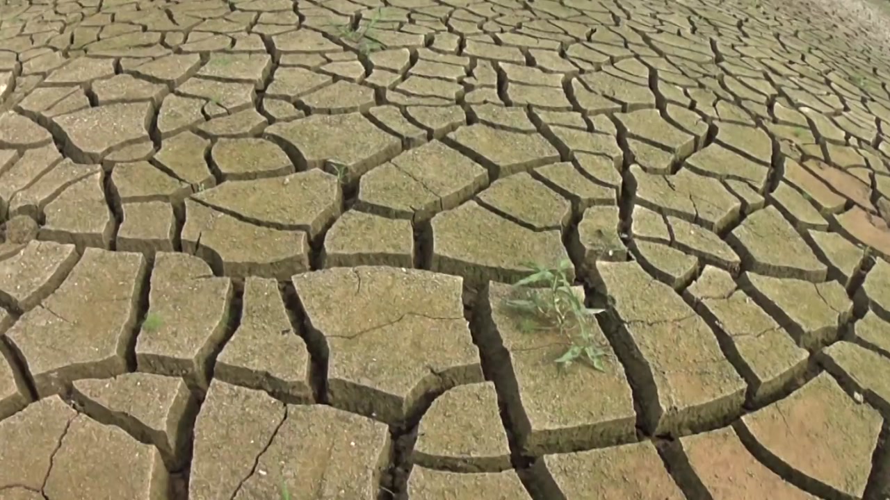 가뭄에 말라버린 강과 저수지...가뭄 피해 극심