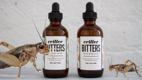 환경을 위한다면… 귀뚜라미로 만든 칵테일