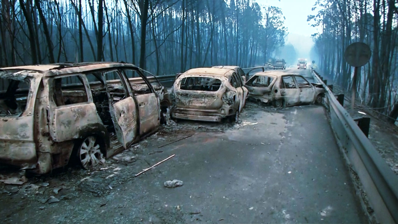 포르투갈 대형 산불...60여 명 사망
