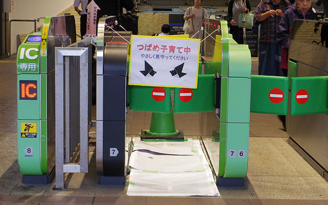 일본 지하철 역 개찰구 폐쇄뒤 쏟아진 칭찬?