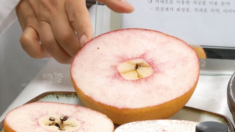 배 '석세포', 천연 각질 제거제·치약 개발