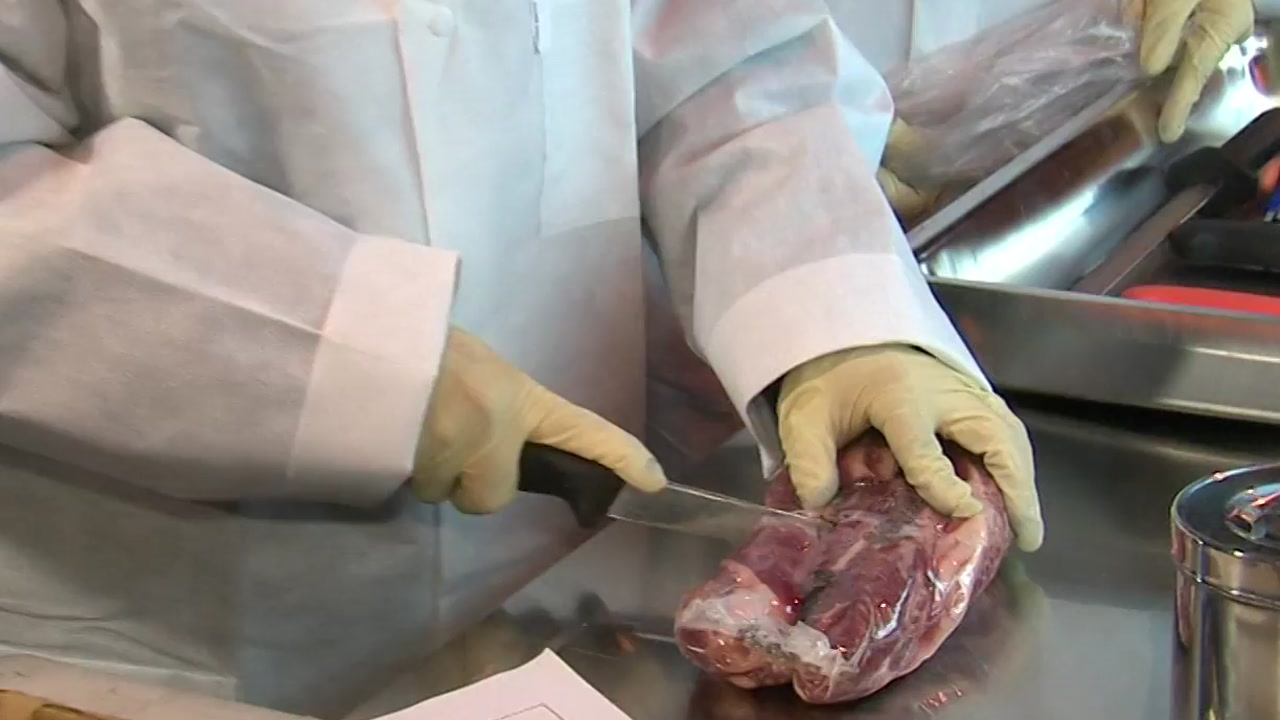 미국에서 광우병 발생...미국산 쇠고기 검역 강화