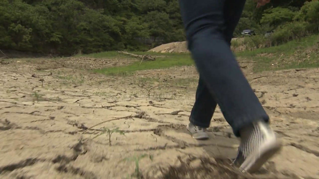 강수량 평년의 1/3수준...경북 동해안은 가뭄 고통