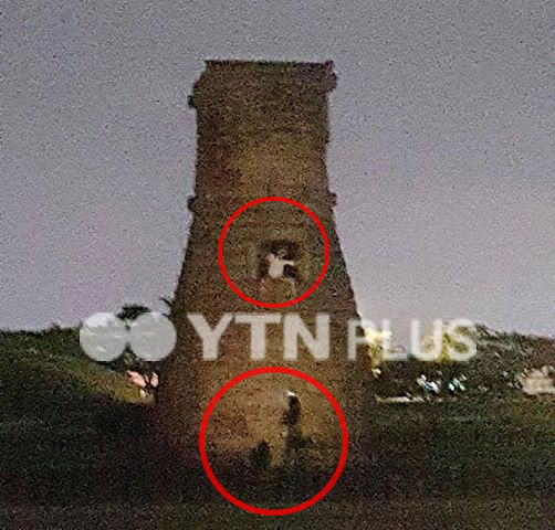 국보 '첨성대' 타고 오른 대학생들 "검찰 송치 예정"