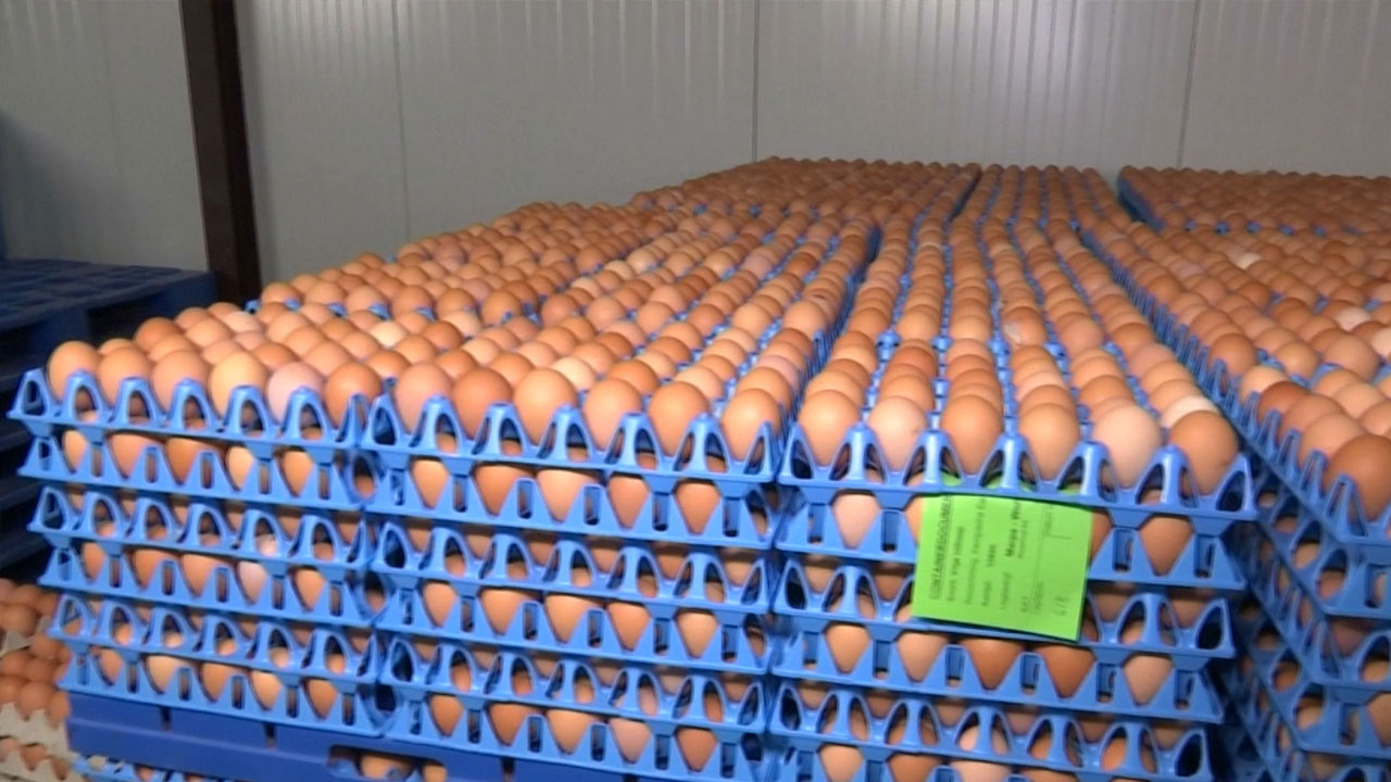 '살충제 달걀 유통' 17개국으로 확산...홍콩도 유통