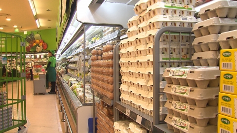 대형마트 3사, 전국 모든 매장서 달걀 판매 중단