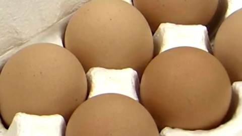 GS25·GS슈퍼, 적합 판정 받은 달걀 판매 재개