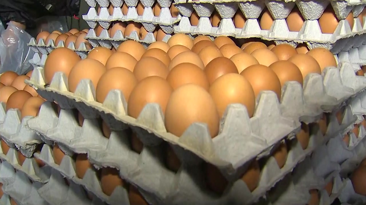 '살충제 달걀' 농장 모두 6곳...유통 제품서도 발견