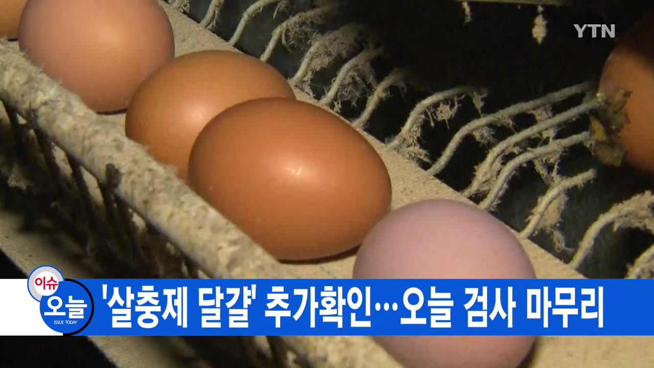 [YTN 실시간뉴스] '살충제 달걀' 추가확인...오늘 검사 마무리 
