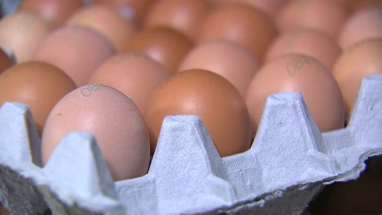 '살충제 달걀' 23개 농가서 추가 검출