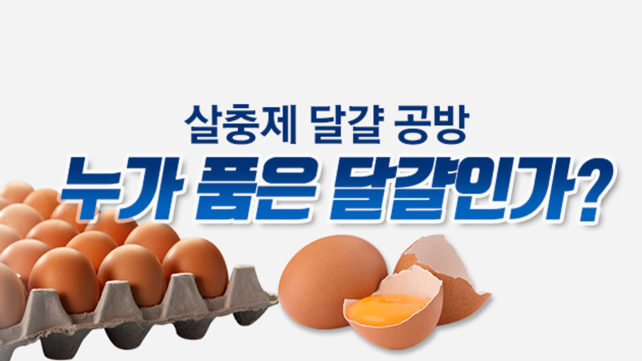 [뉴스앤이슈] "누가 품은 달걀인가?"...여야의 네탓 공방