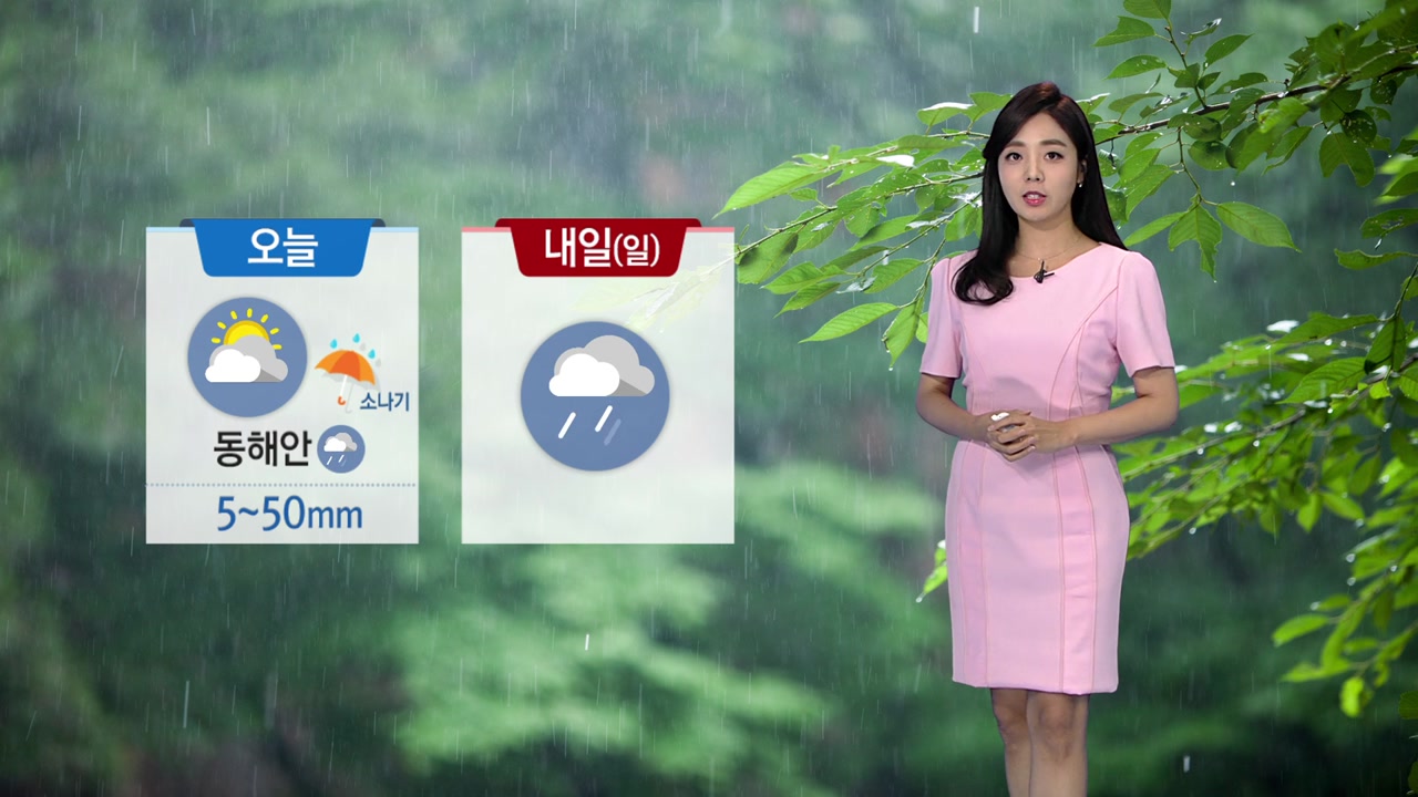 [날씨] 외출 시 우산 챙기세요...낮 서울·대전·대구 29℃