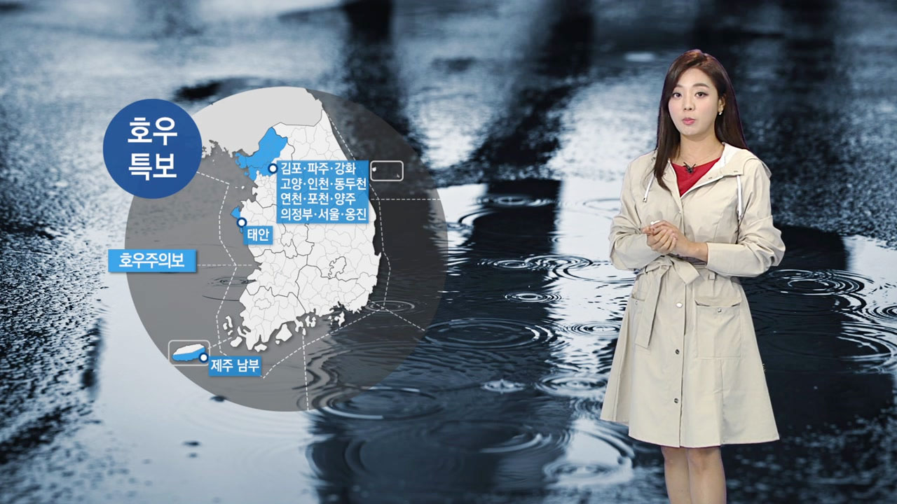 [날씨] 서울 호우주의보...곳곳에 벼락·돌풍동반