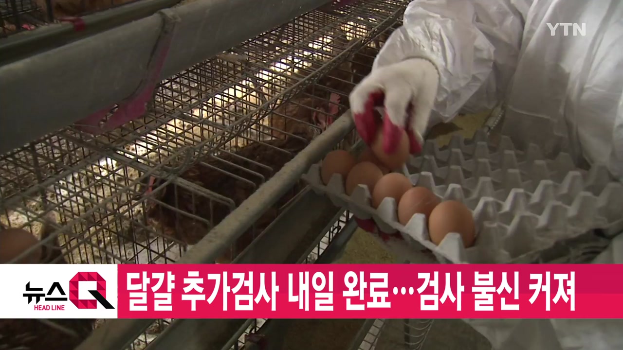 [YTN 실시간뉴스] 달걀 추가검사 내일 완료…검사 불신 커져