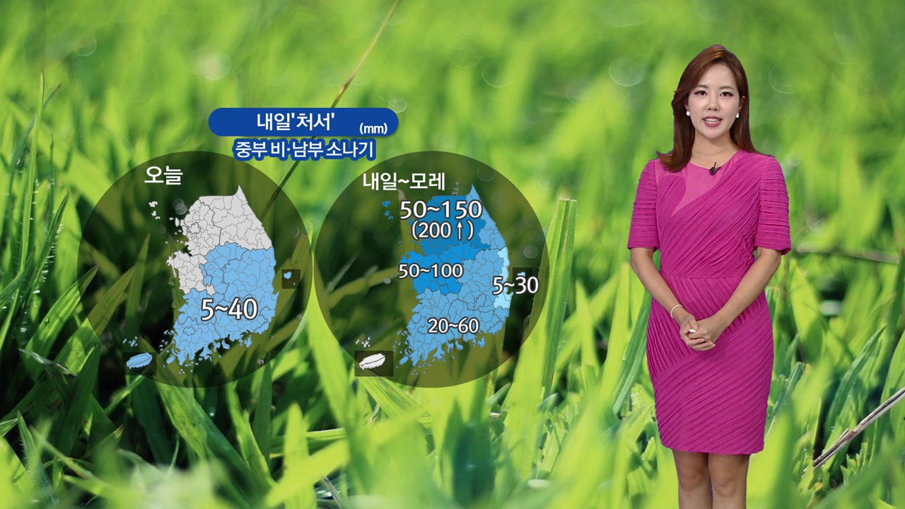[날씨] 내일 '처서' 전국 비...수도권·영서 폭우