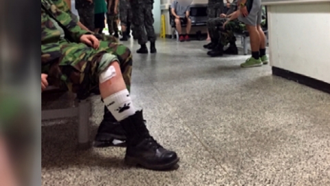 예비군 훈련받다 말벌에 쏘여...13명 병원 치료