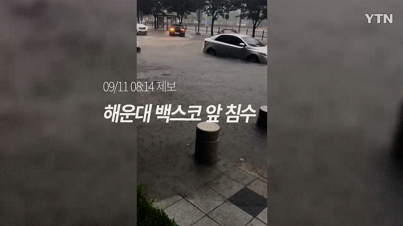 [영상] "밖에 다닐 수도 없다" 부산 폭우 침수피해 현장